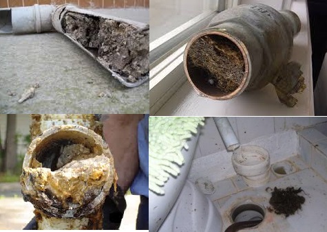 Plumber Introduction